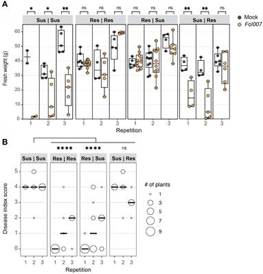 Tomato R-gene-mediated resistance against Fusarium wilt originates in roots and extends to shoots via xylem to limit pathogen colonization